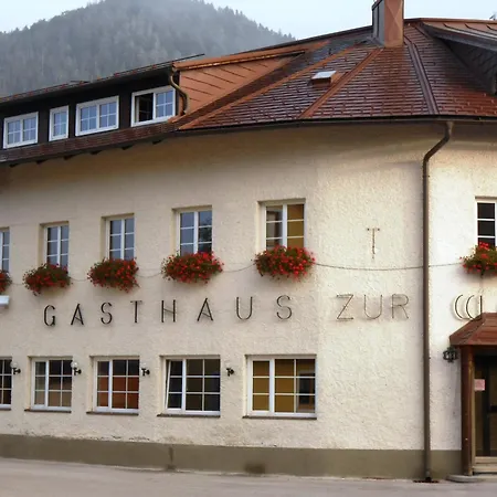 Weintraube Apartamento Rohr im Gebirge