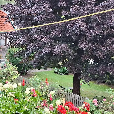 Weintraube Apartamento *