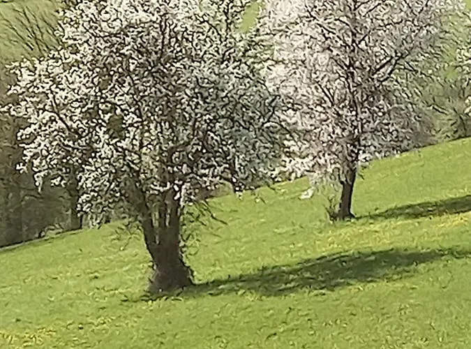 Weintraube Apartamento Rohr im Gebirge