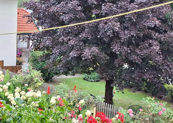 Weintraube Apartament *